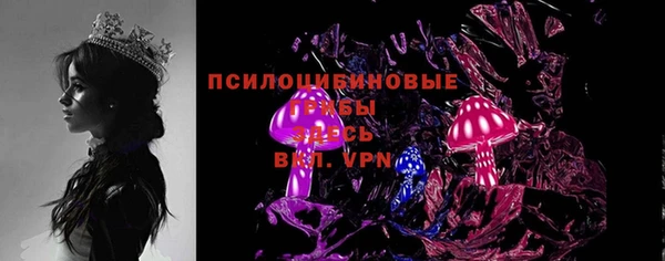 молекула духа Нязепетровск