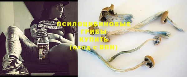 кристаллы Няндома
