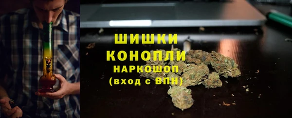 молекула духа Нязепетровск