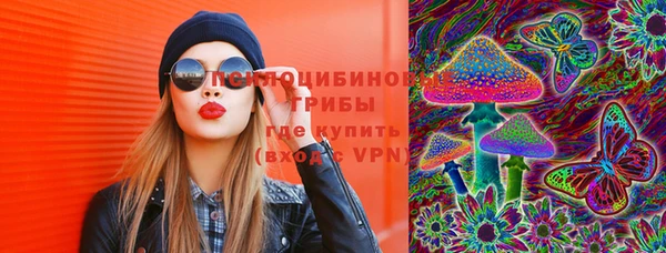 дурь Нягань