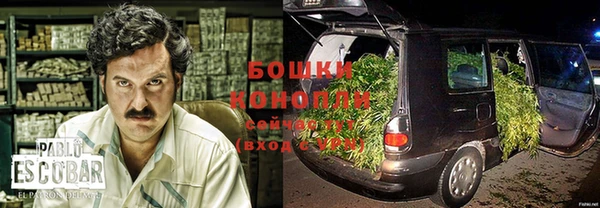 молекула духа Нязепетровск