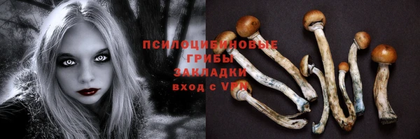 дурь Нягань