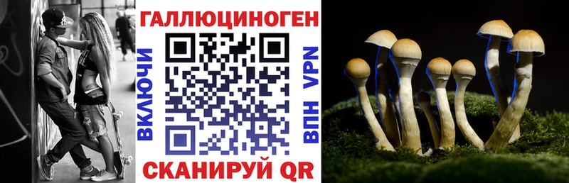 Псилоцибиновые грибы MAGIC MUSHROOMS  наркошоп  Сергач 